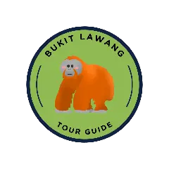 Bukit Lawang Tour Guide